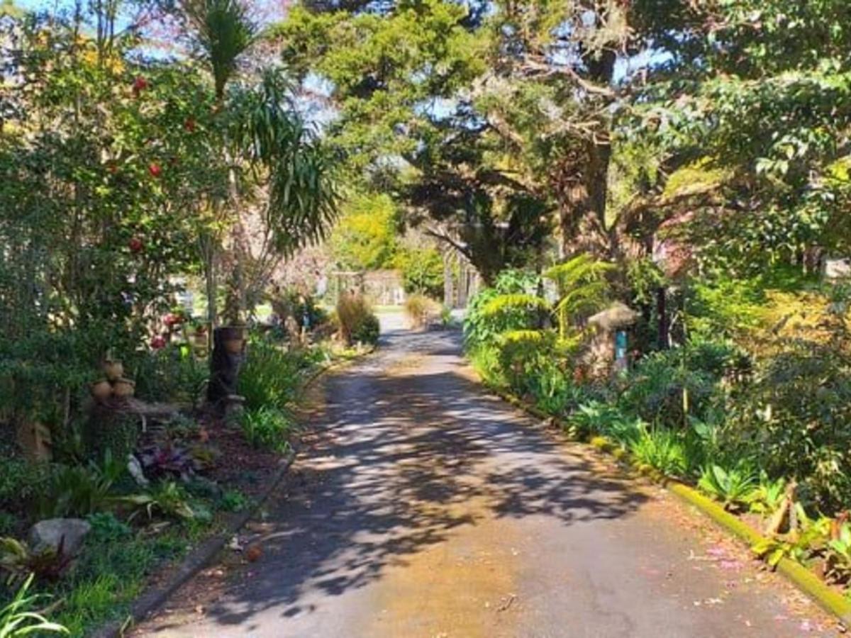 Waimoana Garden Accommodation Фангареи Экстерьер фото
